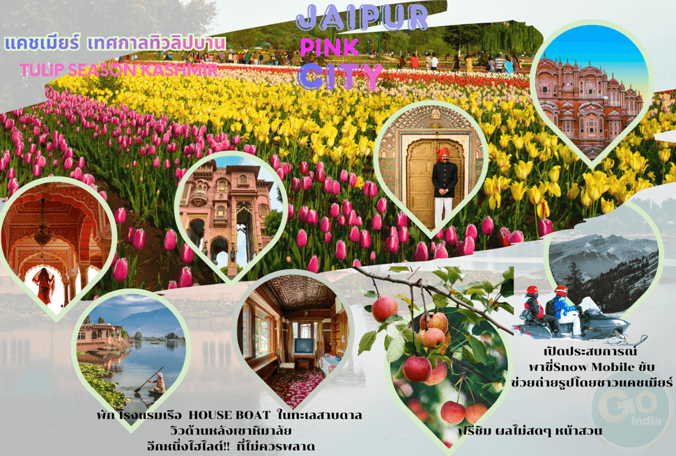 listing tour gallery