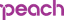 AIR PEACH logo