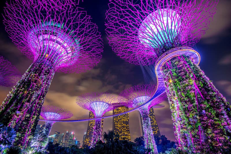 ชมโชว์ RHAPSODY LIGHT SHOW
