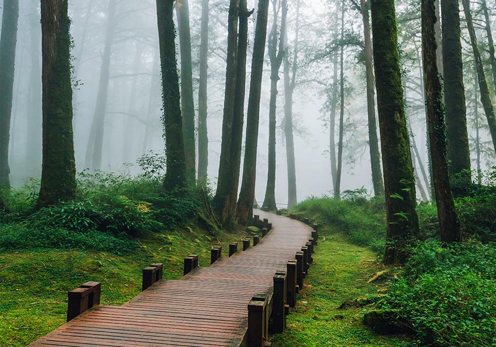 อุทยานแห่งชาติอาลีซาน (เจียอี้)