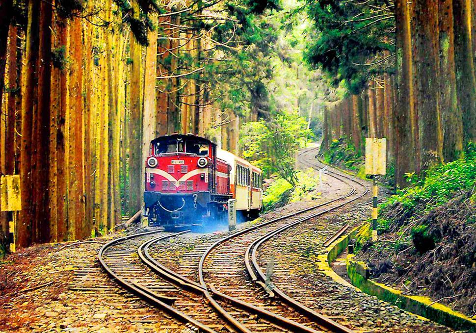 รถไฟสายโบราณ (อุทยานอาลีซาน)