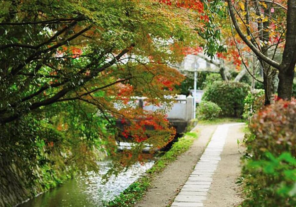 ถนนสายนักปราชญ์