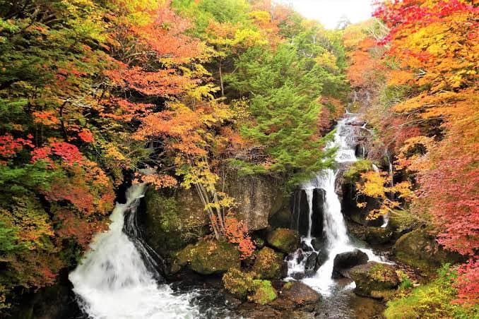 ทัวร์ เมืองนิกโก้ Nikko
