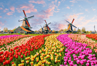 listing tour gallery