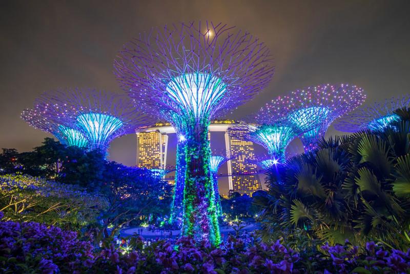 การ์เด้น บาย เดอะเบย์