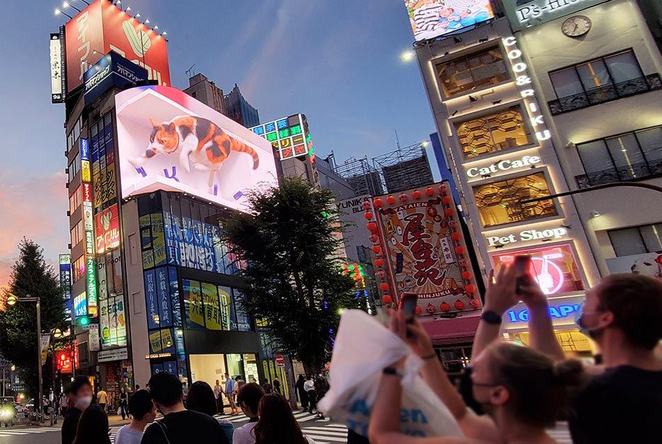 ชมแมวยักษ์ 3 มิติ